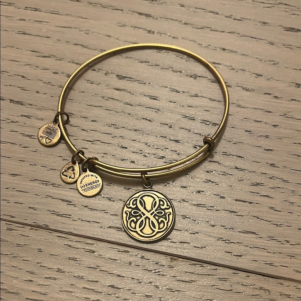 Alex and Ani Gold Infinity Charm Bracelet
